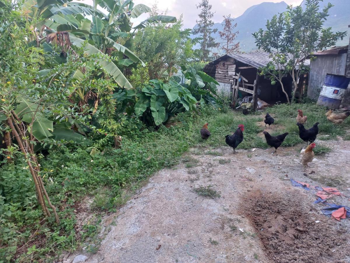 הא גיאנג Homestay Hoang Vu מראה חיצוני תמונה